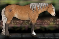 Horse Color:Silver Buckskin Sabino Rabicano 