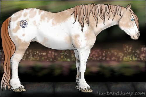 Horse Color:Buckskin Pearl Sabino Frame Appaloosa 