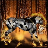 Horse Color:White Spotted Silver Blue Onyx Chinchilla 