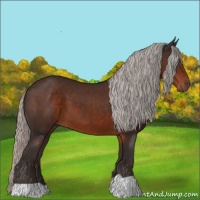 Horse Color:Silver Brown 