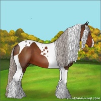 Horse Color:Silver Brown Tobiano 