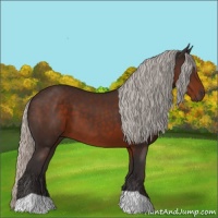 Horse Color:Silver Brown 