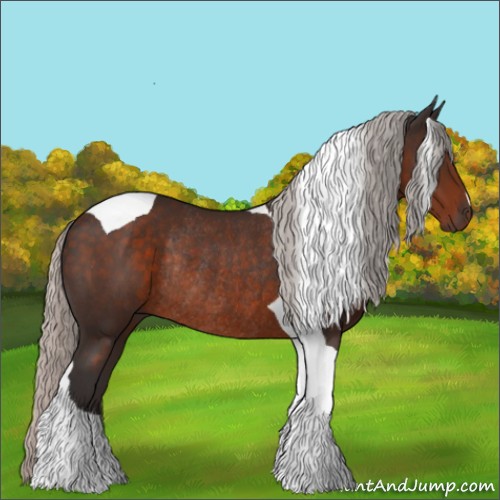 Horse Color:Silver Brown Tobiano Rabicano