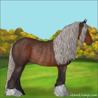 Horse Color:Silver Brown Rabicano 
