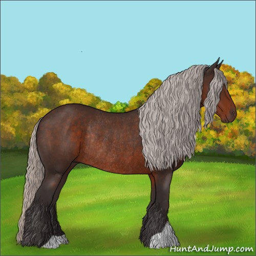 Horse Color:Silver Brown Rabicano 