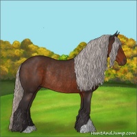 Horse Color:Silver Brown Rabicano 