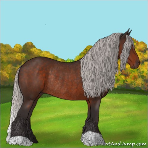 Horse Color:Silver Brown Rabicano