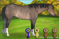Horse Color:Brown Dun Rabicano 