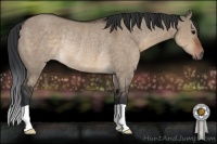Horse Color:Brown Dun Rabicano 