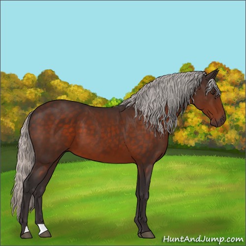 Horse Color:Silver Brown