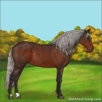 Horse Color:Silver Brown 