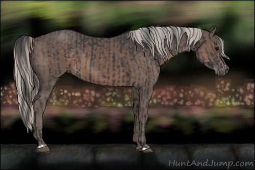 Horse Color:Black  and Silver Black 