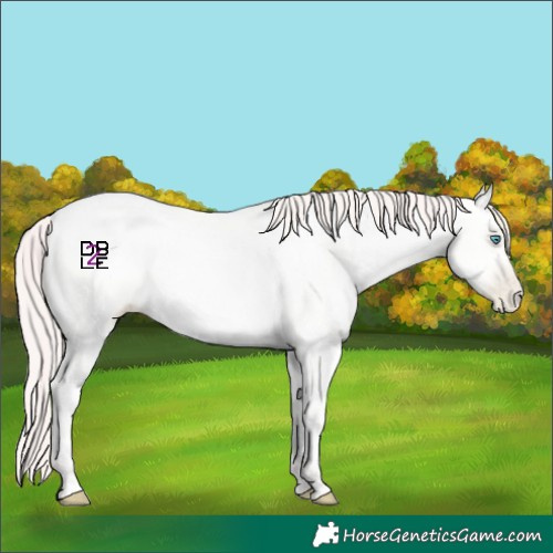 Horse Color:Amber Cream Champagne Pearl