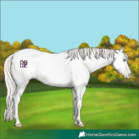 Horse Color:Amber Cream Champagne Pearl 