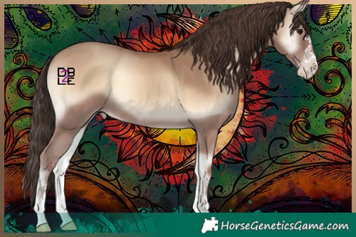 Horse Color:Classic Champagne Onyx 