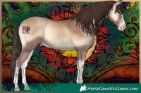 Horse Color:Classic Champagne Onyx