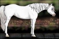 Horse Color:White Spotted Silver Black Splash Tobiano Frame 