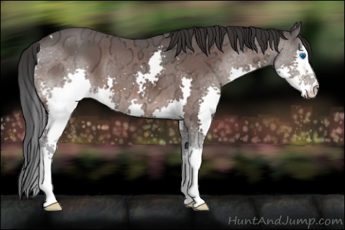 Horse Color:Brown Ice Splash