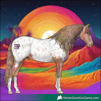 Horse Color:Nacre Chestnut Near Leopard 