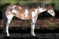 Horse Color:Brown Splash 