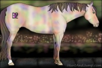 Horse Color:Nacre Amber Champagne Dun 