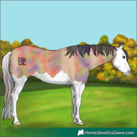Horse Color:Nacre Bay Dun Splash