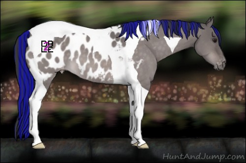 Horse Color:Platinum Painted Brown Dun Tobiano Blanket 