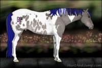 Horse Color:Platinum Painted Brown Dun Tobiano Blanket 