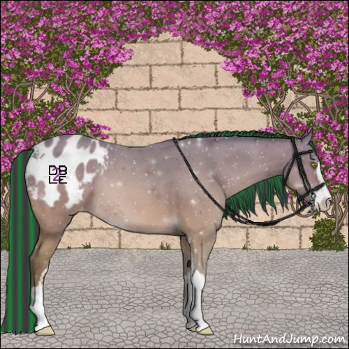 Horse Color:Platinum Painted Sable Champagne Sabino Appaloosa