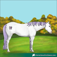 Horse Color:Platinum Painted Silver Buckskin Dun Blanket 
