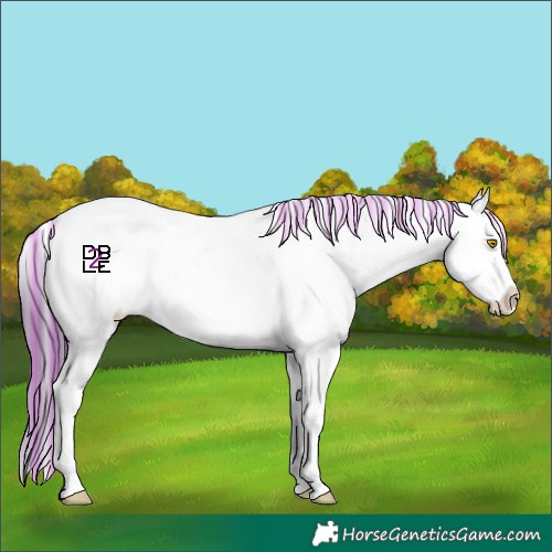 Horse Color:Platinum Painted White Spotted Amber Champagne Appaloosa 
