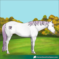 Horse Color:Platinum Painted White Spotted Amber Champagne Appaloosa