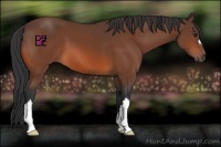 Horse Color:Brown 