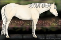 Horse Color:Palomino Pearl 