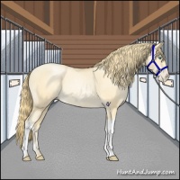 Horse Color:Smoky Black Pearl 