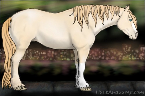 Horse Color:Smoky Black Pearl