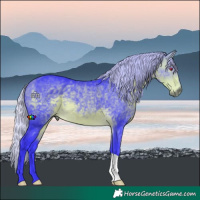 Horse Color:Watercolor Silver Buckskin Chinchilla 
