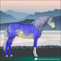 Horse Color:Watercolor Silver Buckskin Chinchilla 
