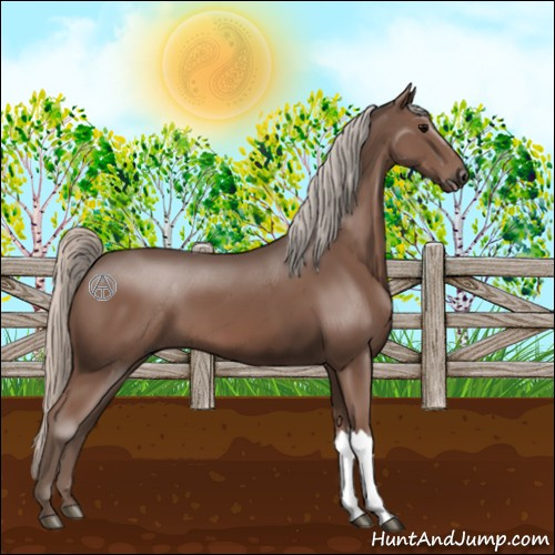 Horse Color:Silver Black