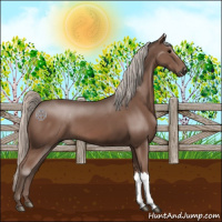 Horse Color:Silver Black 