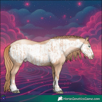 Horse Color:Gold Champagne Pearl Rabicano  and Gold Champagne Pearl Frame Rabicano 