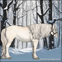 Horse Color:Palomino Pearl 