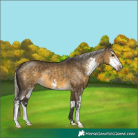 Horse Color:Silver Buckskin Dun Sabino