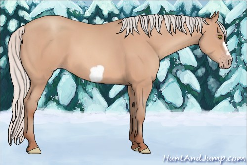 Horse Color:Silver Amber Champagne Frame 