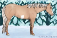 Horse Color:Silver Amber Champagne Frame 