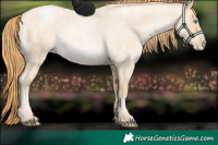Horse Color:Buckskin Roan Pearl 