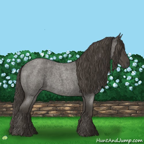 Horse Color:Smoky Blue Roan 
