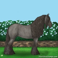 Horse Color:Smoky Blue Roan 