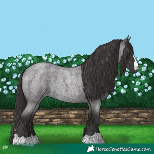 Horse Color:Smoky Blue Roan 