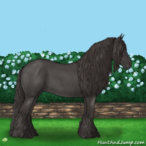 Horse Color:Smoky Blue Roan 